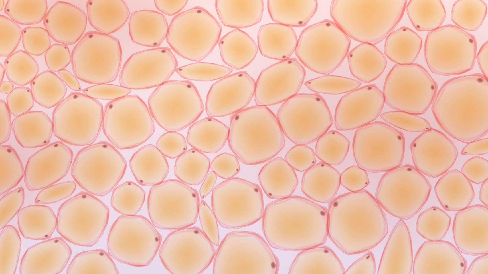 cells